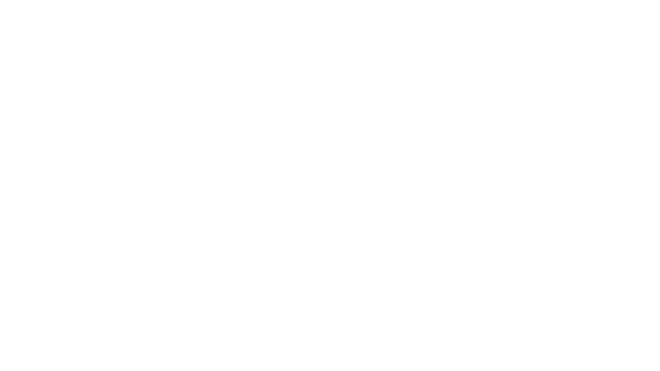 Palmetto Painting Contractors